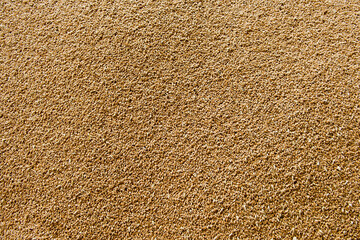 Refined wheat grains.Texture, background.