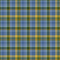 Plaid seamless pattern. Vector background of textile ornament. Flat fabric design.