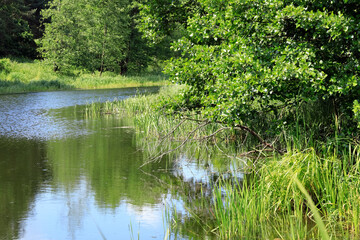Fototapeta na wymiar Little lake is a part of a farmland