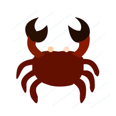 red crab isolated on white