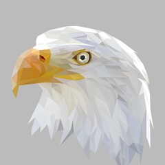 Eagle face with geometry design, low poly triangular and wire frame vector illustration EPS 10 isolated. Polygonal style trendy modern logo design. Suitable for printing on a t-shirt.