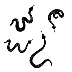 Vector hand drawn black snakes. Drawings.