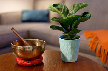 Fiddle leaf fig sitting on table with tibetan singing bowl