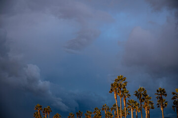 Electrical blue storm