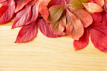 Naklejka na ściany i meble Autumn leaves with copy space