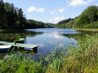 lake in the forest