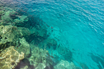 Fototapeta na wymiar Scorcio delle Isole Tremiti (luglio 2021)