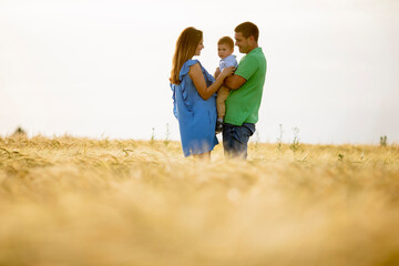Naklejka na ściany i meble Young family with cute little boy having fun outdoors in the field