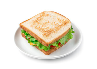 Sandwich with turkey, vegetables, cheese and fried toast in a white plate. Side view, fast food.