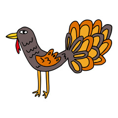 Cartoon rooster, turkey. Bird in doodle style isolated on white background. Farm animal. 