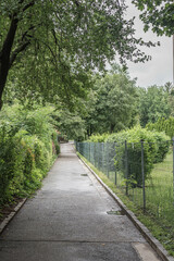 Gartenweg in einer Wohnsiedlung