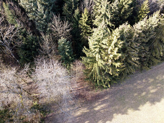 The climate crisis and forest dieback hit the forests in Germany and Bavaria very hard, photographed in 2021