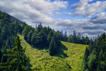 The climate crisis and forest dieback hit the forests in Germany and Bavaria very hard,...