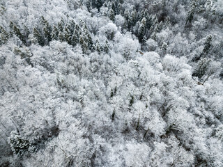 Aerial view of snow covered pine forest in winter - full frame background