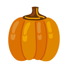 pumpkin autumn fruit