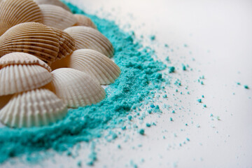 Sea shells inside turquoise colored powder circle close up