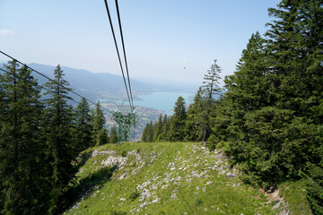 The climate crisis and forest dieback hit the forests in Germany and Bavaria very hard,...