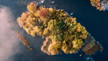 amazing aerial view of foggy morning river and colorful trees. drone shot