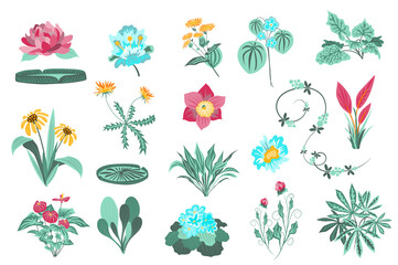 Flower and plants isolated set. Garden and wild foliage, green leaves, blooming wildflowers, flowering plants, beautiful herbs. Bundle of floral elements. Vector illustration in hand drawn design
