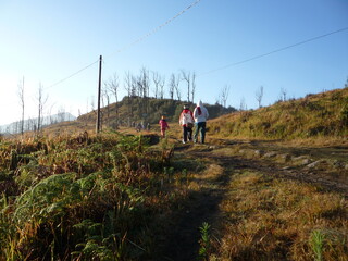 person walking on the road