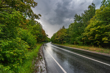 asphalt road panorama in countryside on rainy summer day. autumn rain road in forest under dramatic cloudy sky