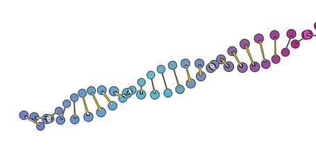 color visualization of DNA analysis isolated on white background 3d rotation animation, for montage and medical training