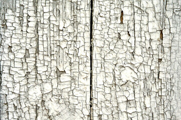 The texture of old painted wood, cracked from time.