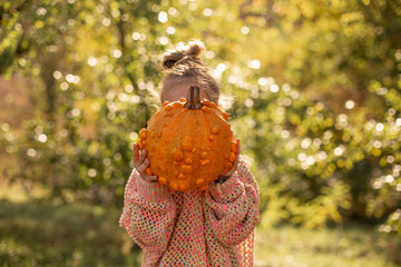 Girl in a knitted sweater is holding in hands ugly orange pumpkin and hiding her face. Deformed...
