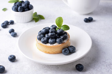Delicious blueberry tart on a white plate with a green sprig on white background.