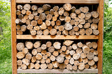 Many cut logs make up a bee hotel in a city park