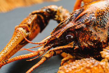 Boiled crayfish lies on a natural slate platter. Russian cuisine, Polish cuisine, Finnish cuisine, Greek cuisine