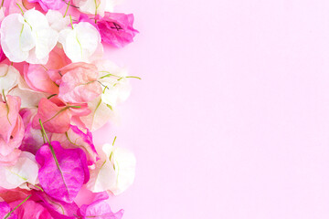 Beautiful bougainvillea on pink background.View from above. Background with copy space
