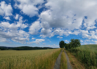Fototapeta na wymiar scenic panorama view of natural landscape under a cloudy sky