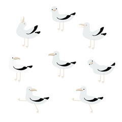 Obraz premium seagulls set on the white background