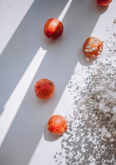 peaches apricots and flowers on a white background