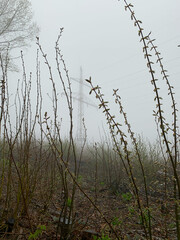 Obraz premium A thick fog appeared in the field, power lines