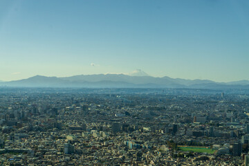 Obraz premium Tokyo Skyline from the top of a highrise