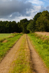 Un chemin de terre entre deux champs bordés de forêts.