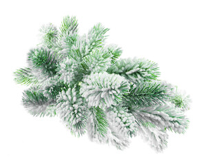 Christmas decor fluffy fir branch in snow isolated on white background.