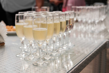 Elegant champagne glasses, standing in a row on the serving table during a party or celebration.