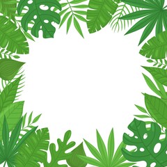 Summer exotic tropical frame with banana leaves, monstera leaves, palm leaves and place for text