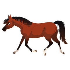 The carton horse runs at a gallop. Isolated vector illustration. Pony illustration for children's book.