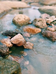 moss on rocks