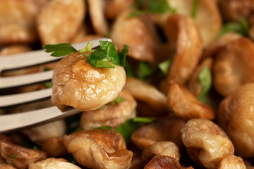 Fried puffball mushrooms on a white plate with a fork. Fried mushroom ready dish, close up