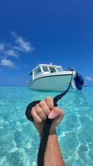 Fototapete bei efototapeten.de bestellen   