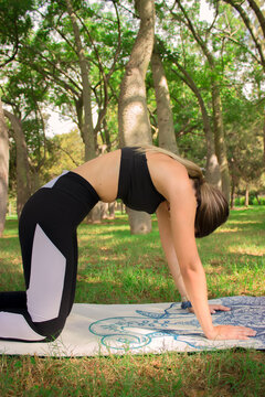 Vertical image of a young girl doing the cat pose while she is relaxing outdoors in the park. Concept of outdoor pilates 2021.