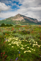 Crested Butte Mountain Summer