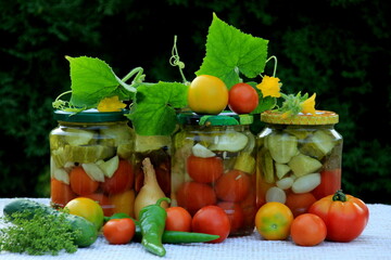Preserves vegetables in glass jars on the table in summer garden. glass jars with various vegetables. Marinated food.Jars of pickled vegetables in the garden.