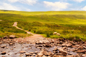 Brecon Beacons, Wales, UK. A walkling path to the summit of Pen y Fan and Corn Du. - obrazy, fototapety, plakaty