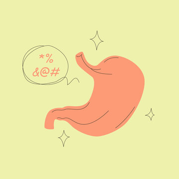 Human Stomac Vector Illustration